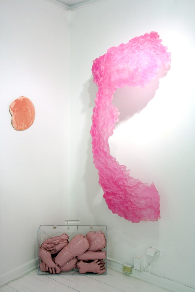 Installation view, Think Pink, 2010
