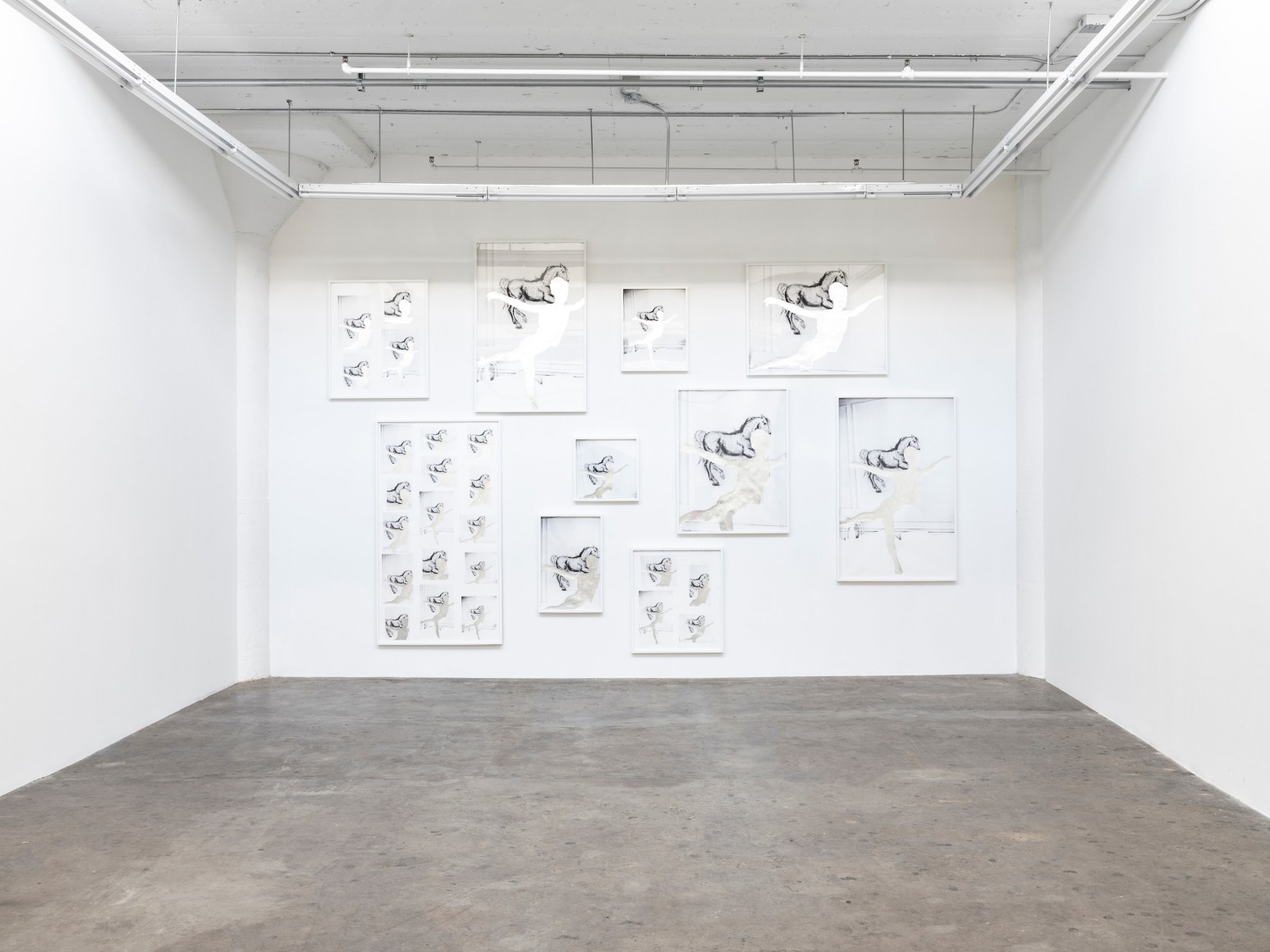 Installation View T. J. Wilcox, 2022