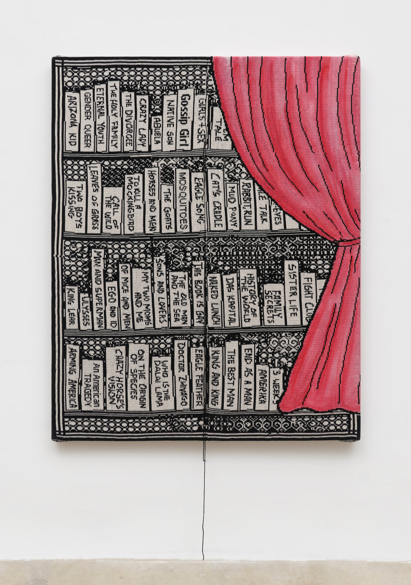 Lisa Anne Auerbach, Illicit Library: Amerika, 2023