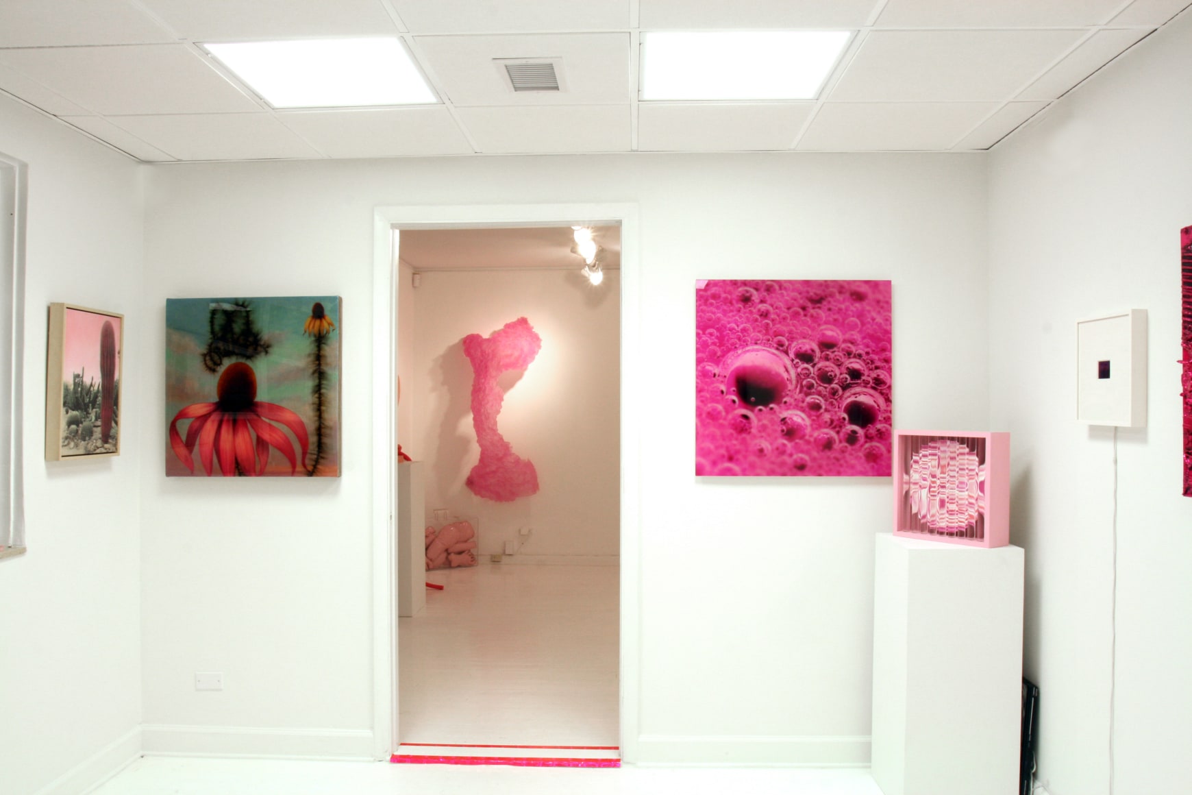 Installation view, Think Pink, 2010