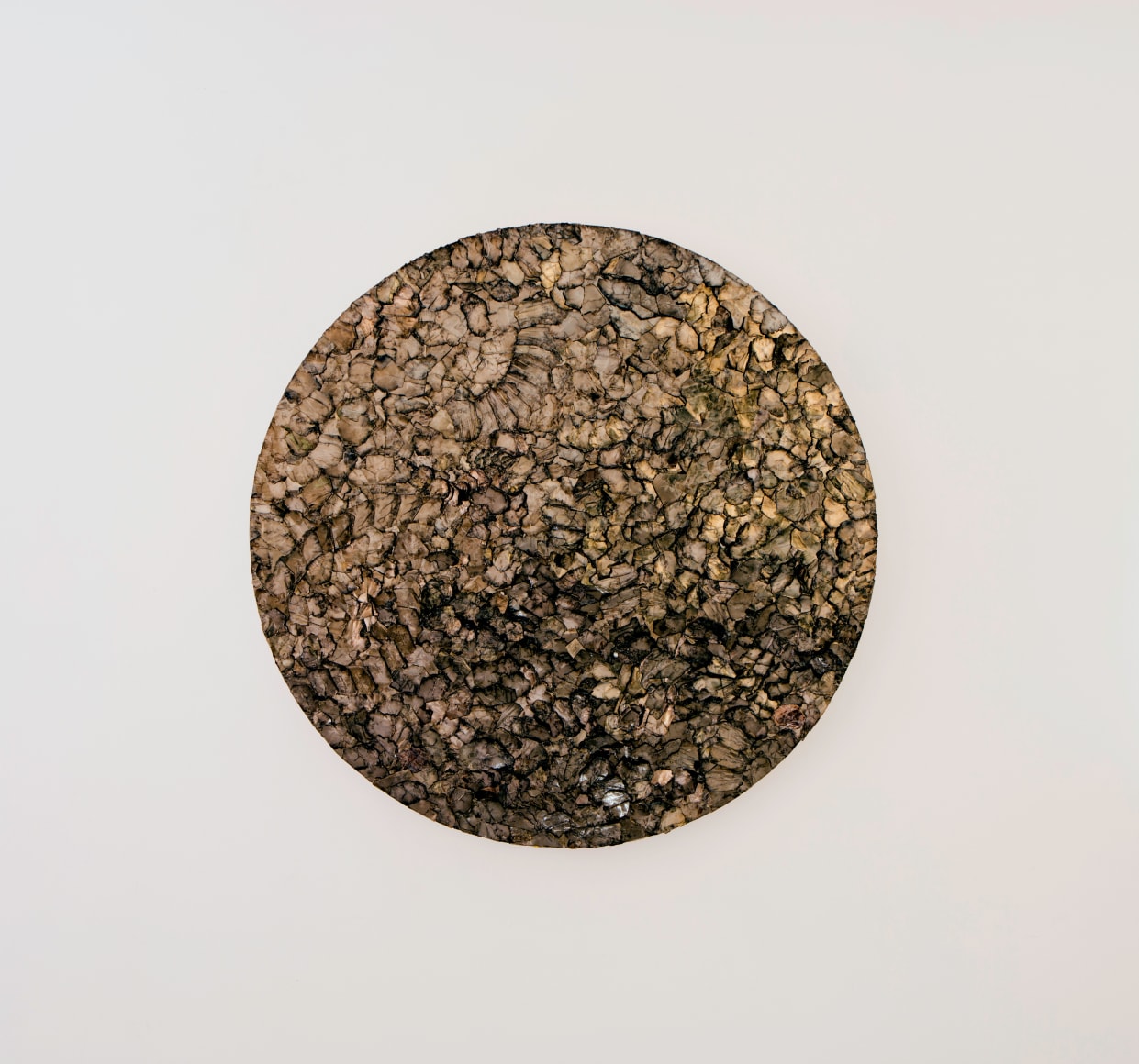 p.p1 {margin: 0.0px 0.0px 0.0px 0.0px; font: 12.0px Tahoma; color: #4b4b4b}