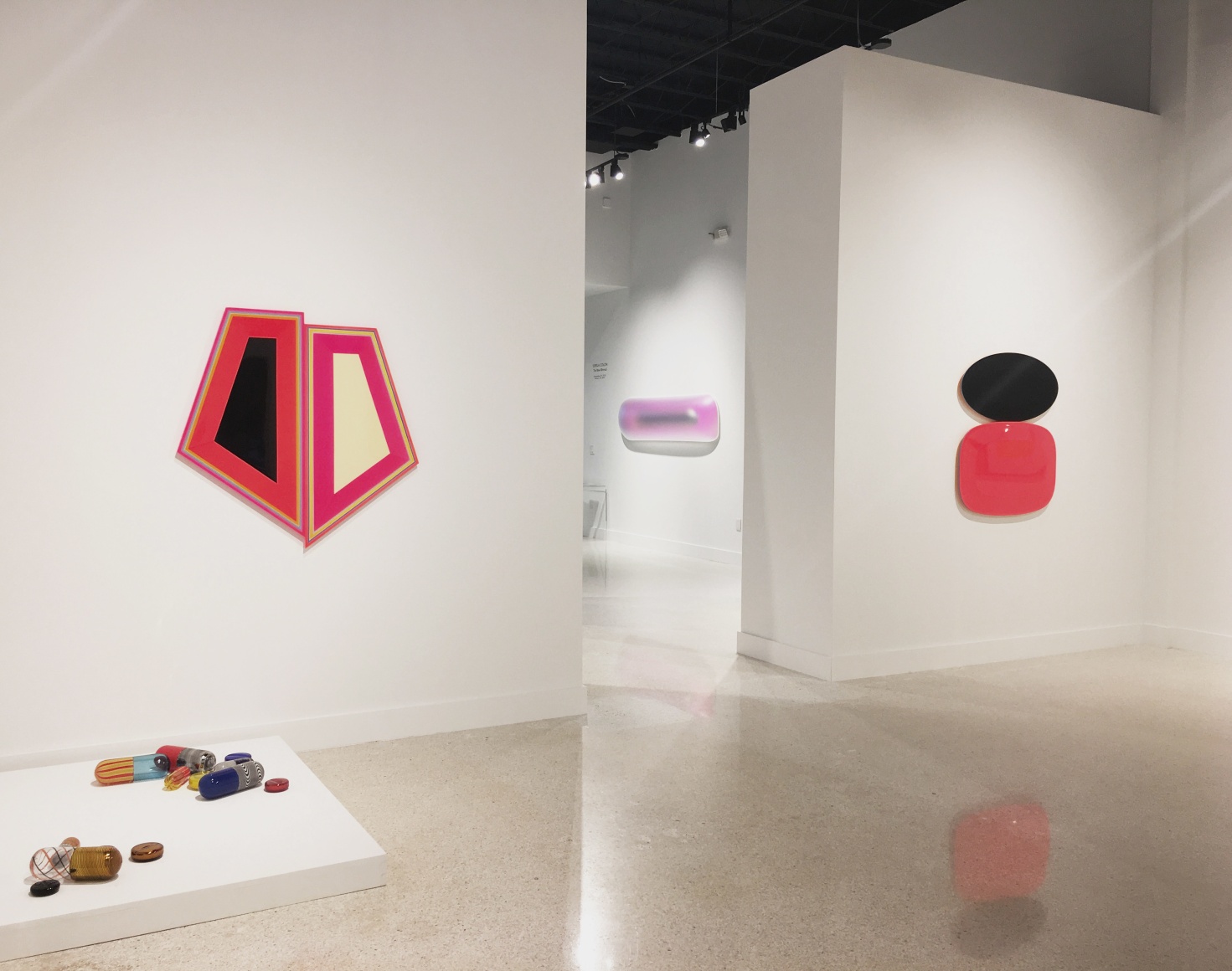 Beverly Fishman "Synthetic Wonderland"