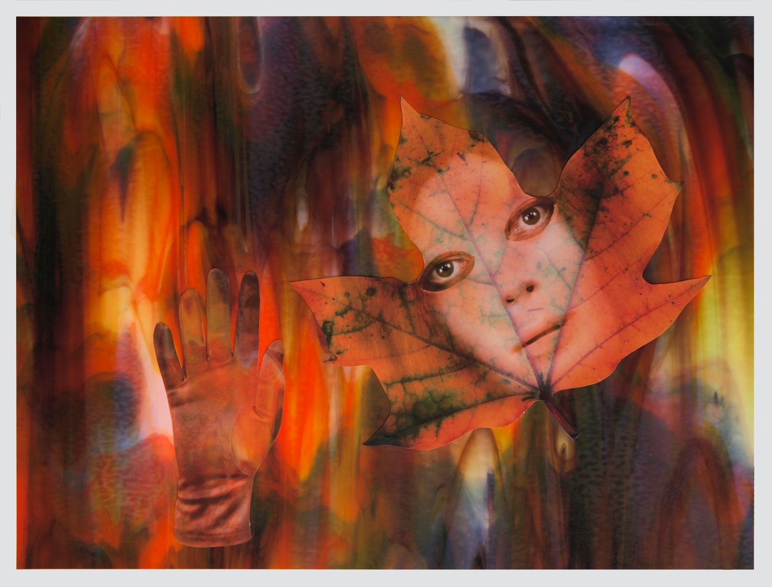 Autumn Greeting, 2016, Collage on archival pigment print