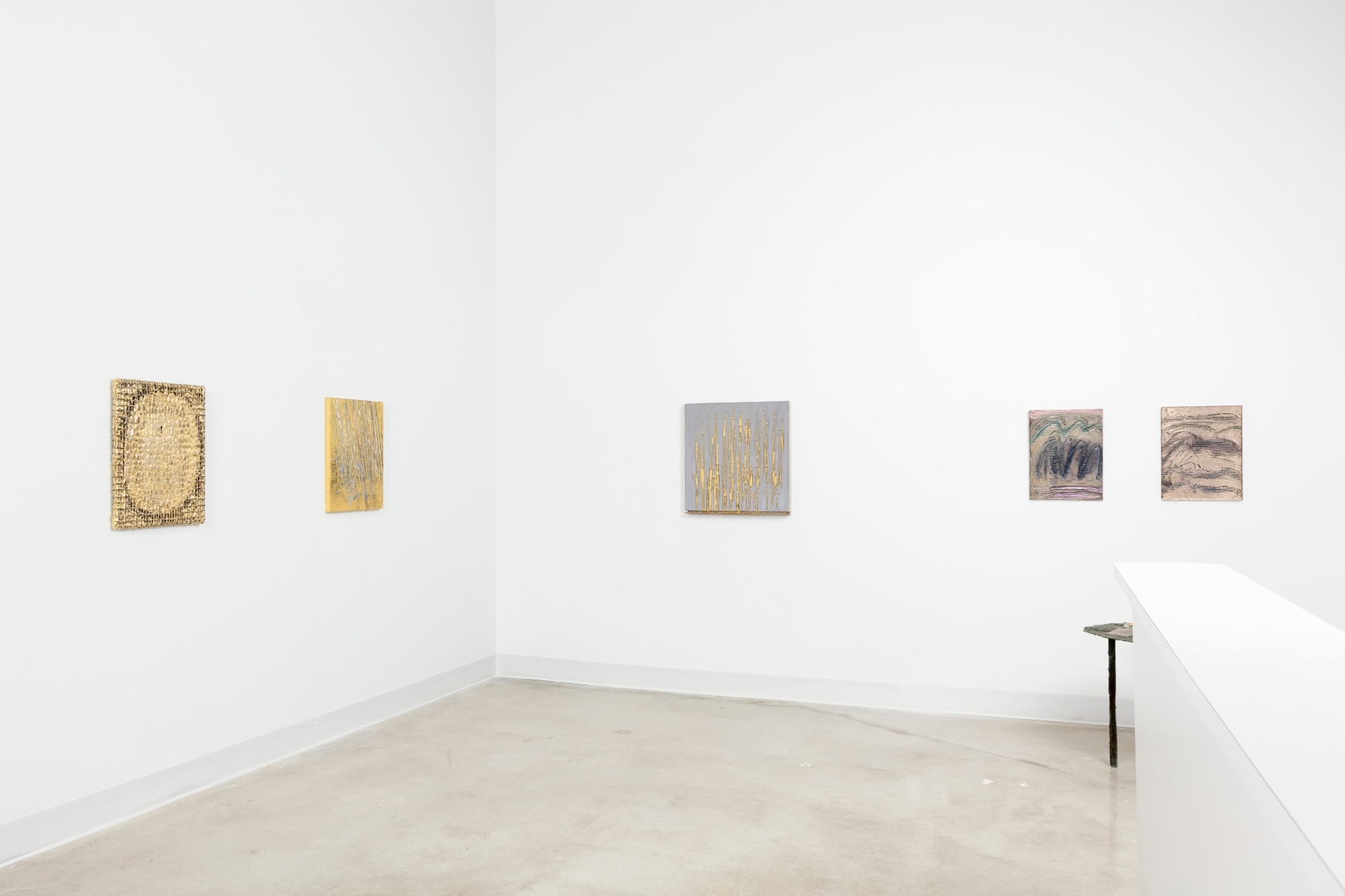 Spotlight: Nancy Lorenz