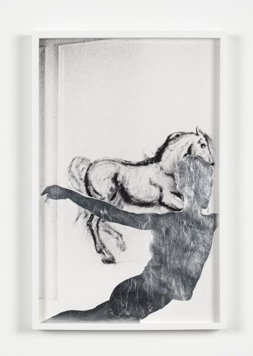 T.J. Wilcox, Edie, 2022