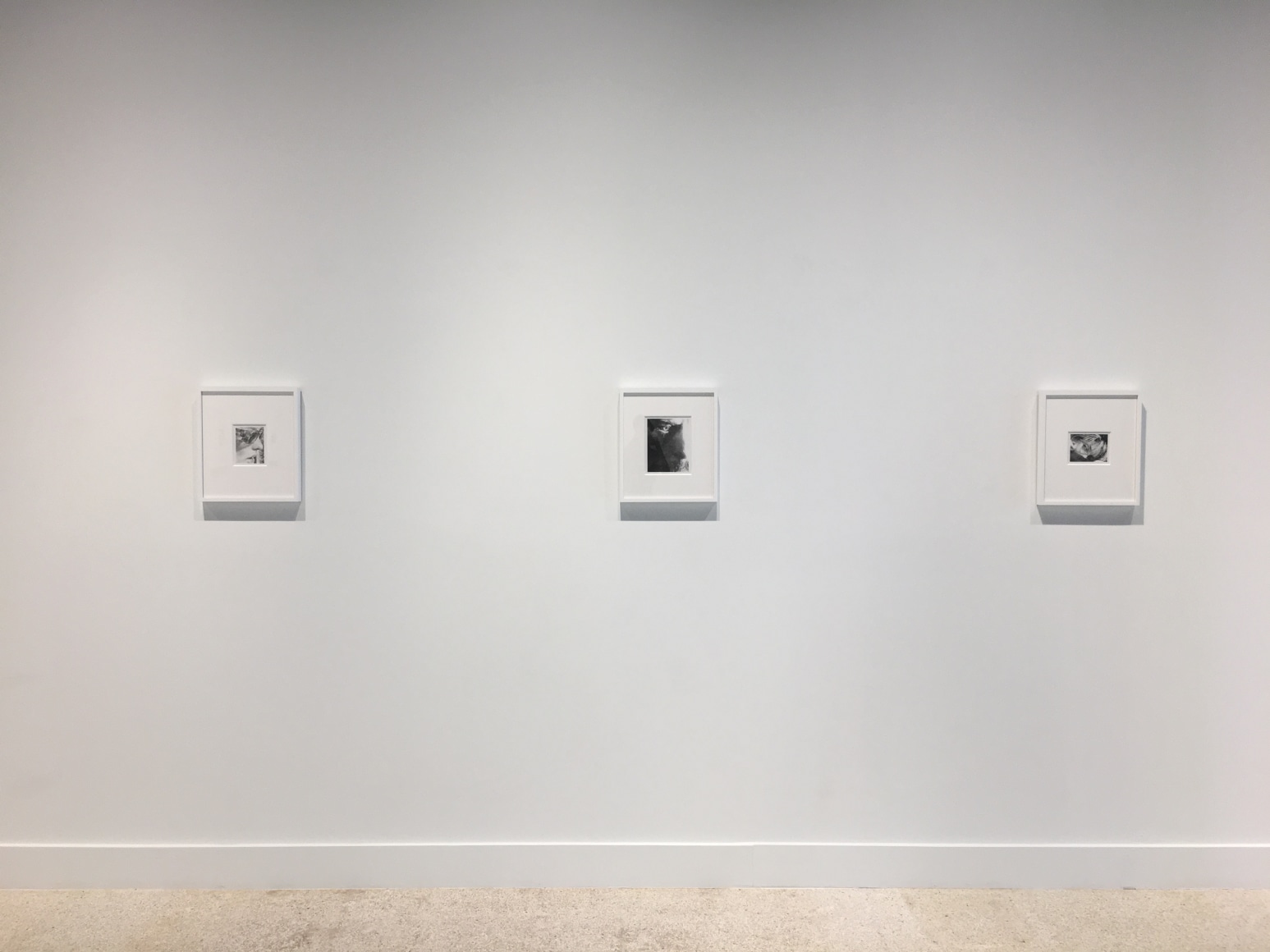 Judith Eisler "Long Distance Love"