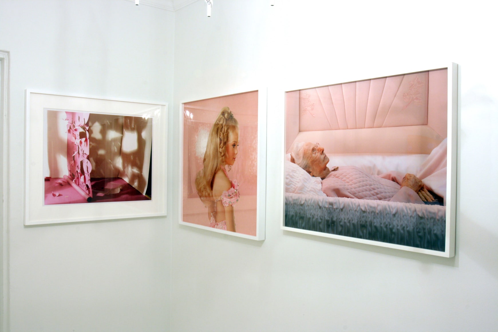 Installation view, Think Pink, 2010