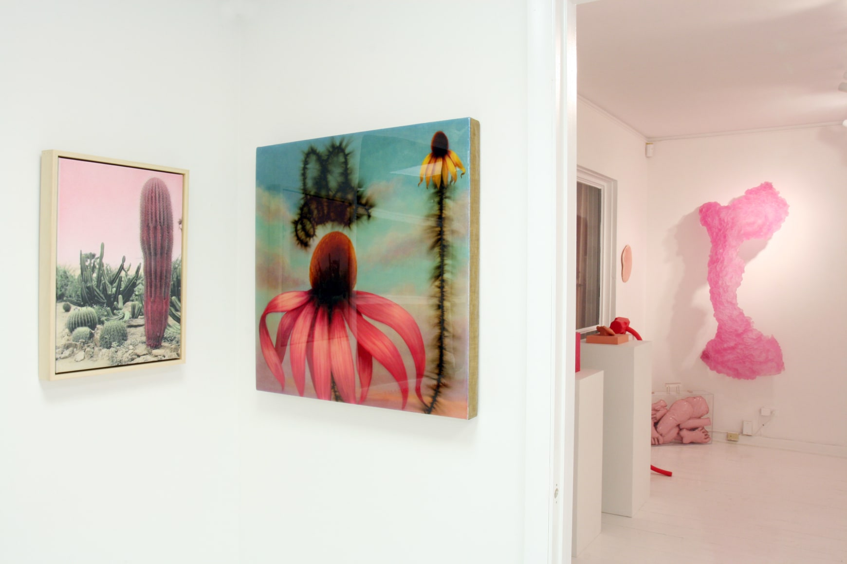 Installation view, Think Pink, 2010