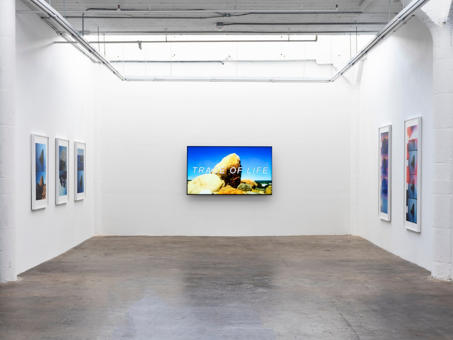 Installation View T. J. Wilcox, 2022