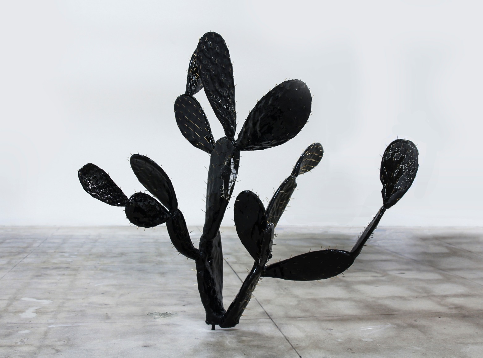 Finish Fetish, 2015