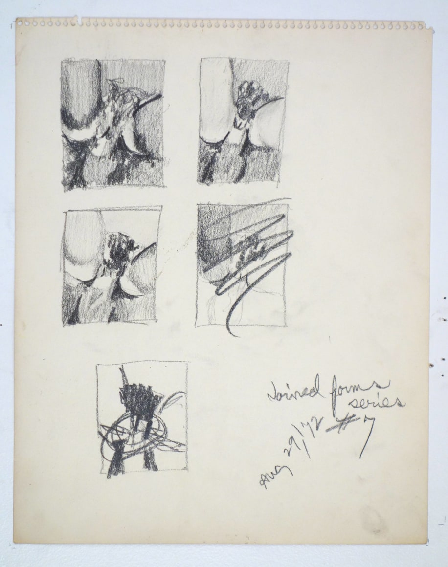 Betty Tompkins Fuck Drawing #7, 1972
