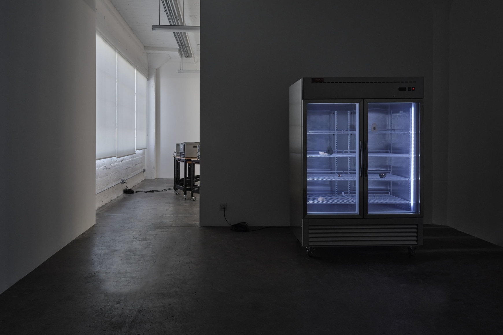 Installation View, Terms of Belonging, 2022