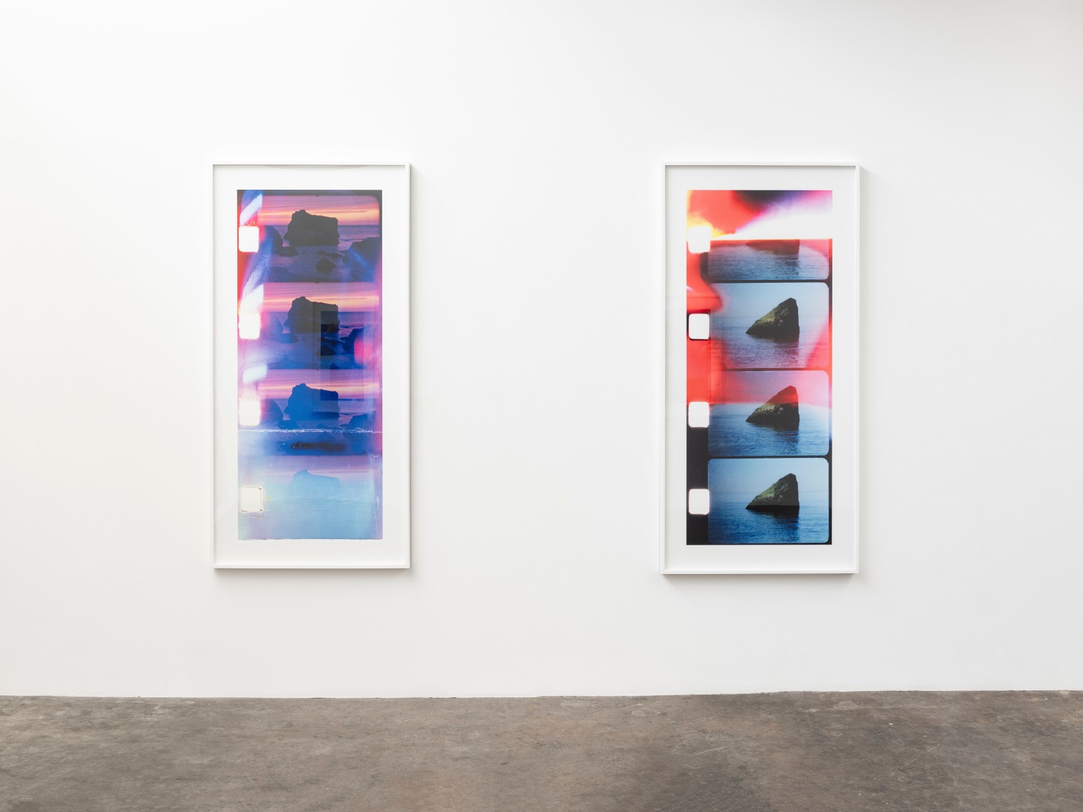 Installation View T. J. Wilcox, 2022