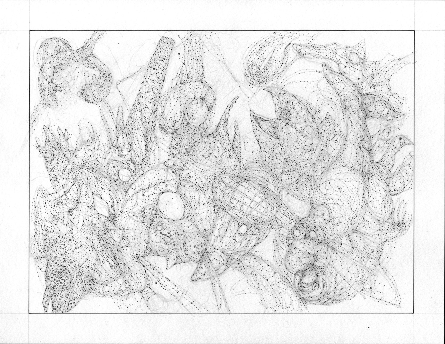 Sean McCarthy, In the Grey