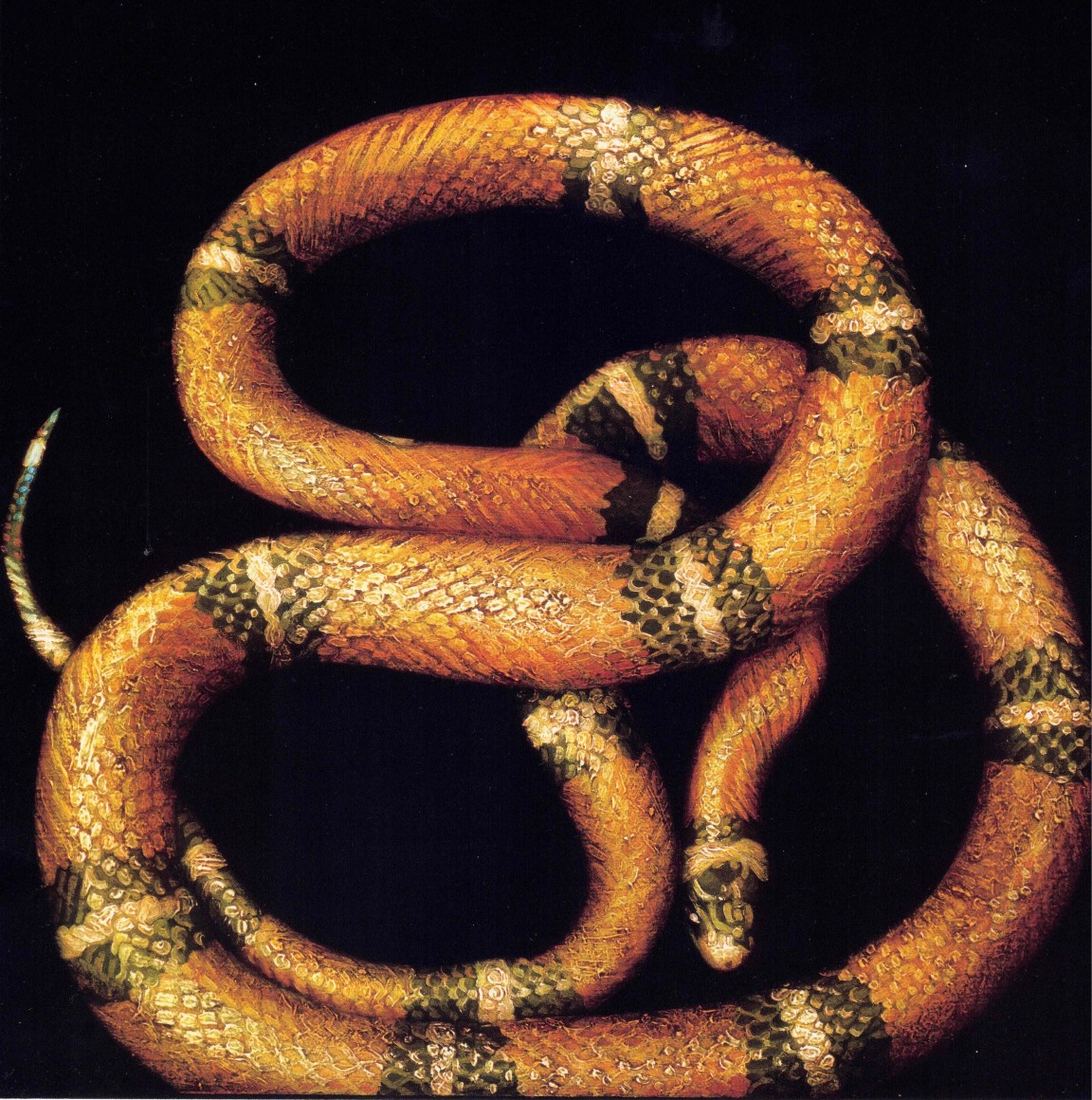 Brenda Zlamany, Snake #9, 1996