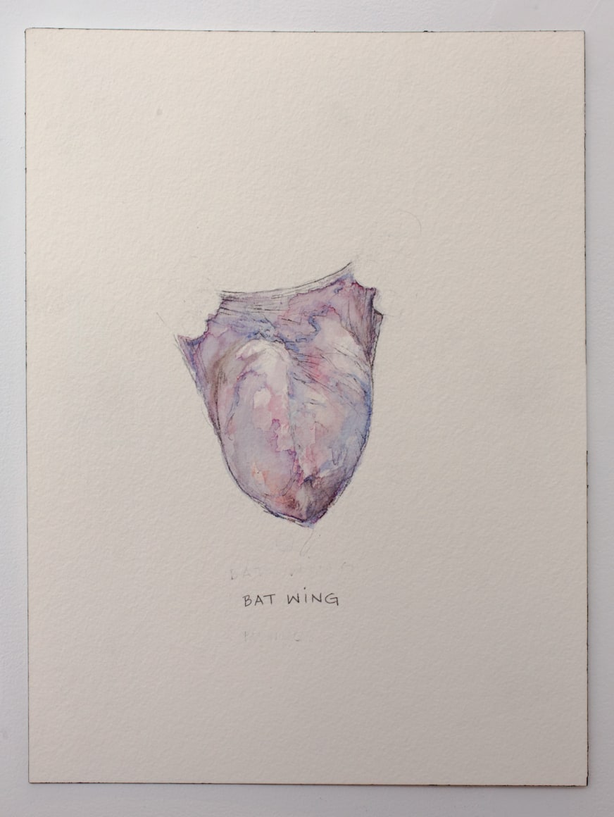 Maximilian Toth at Fredericks &amp; Freiser