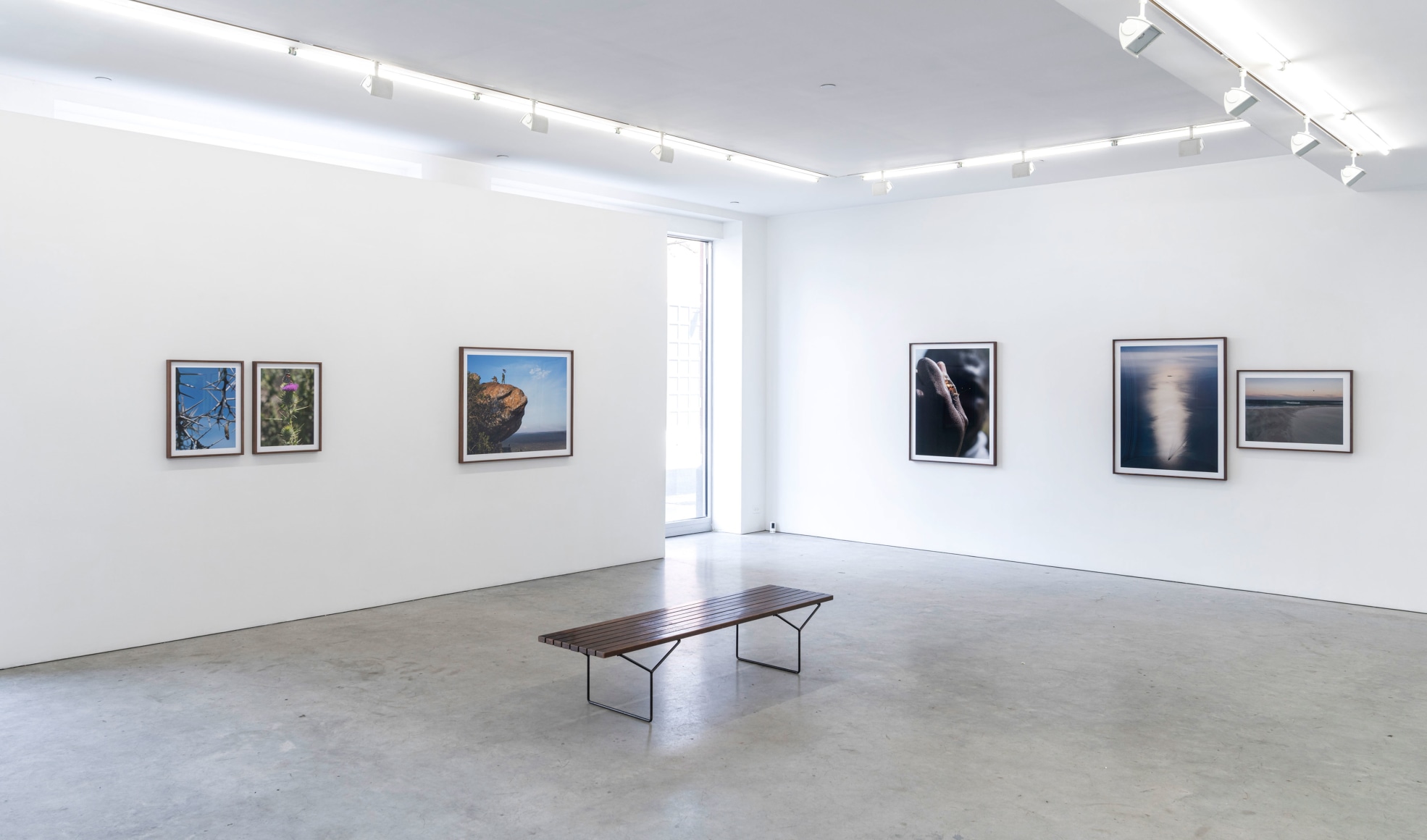 Lucas Foglia