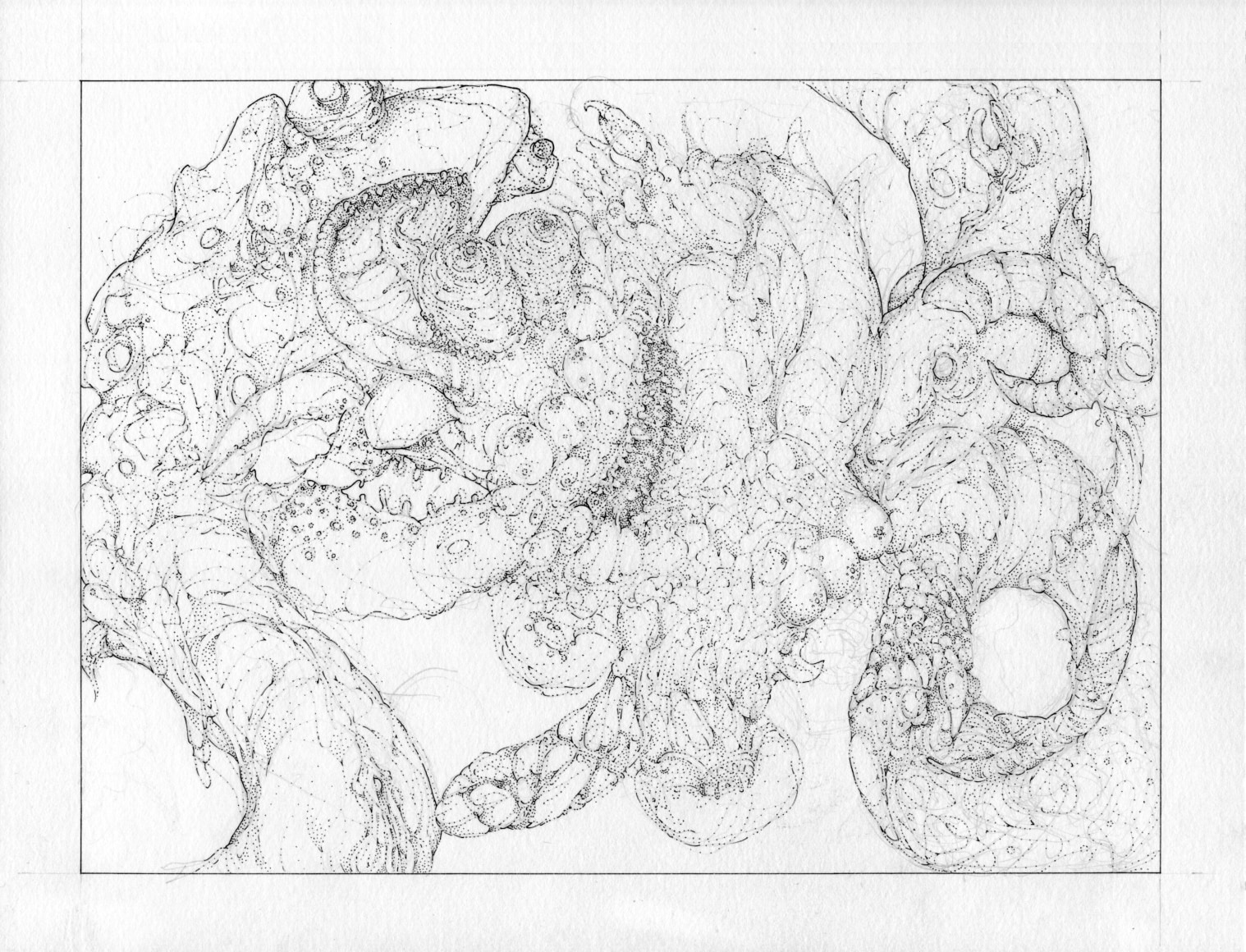 Sean McCarthy, Squall