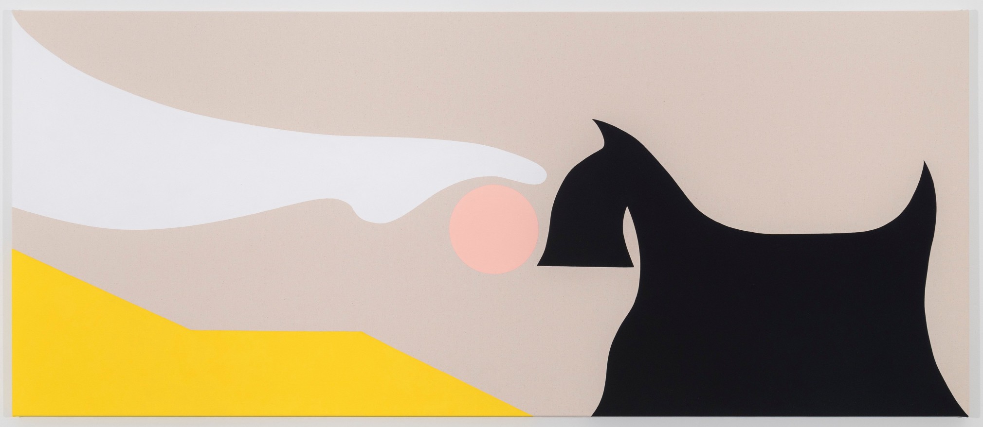 Math Bass, Newz!, 2019