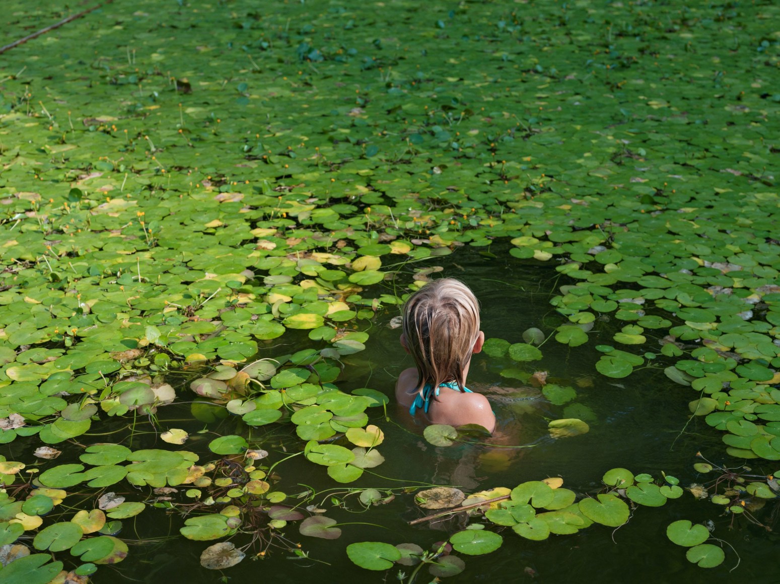 LUCAS FOGLIA Maddie with Invasive Water Lilies, North Carolina, 2008