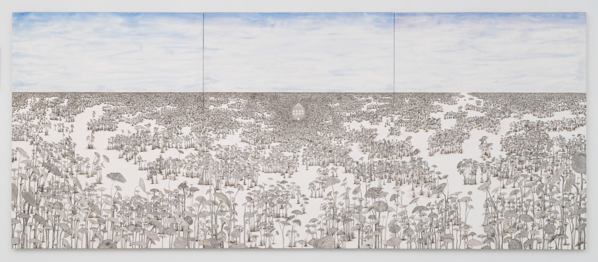 Louisa Owen, Daybreak, 2025