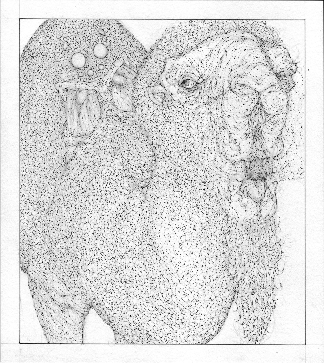 Sean McCarthy, Uvall