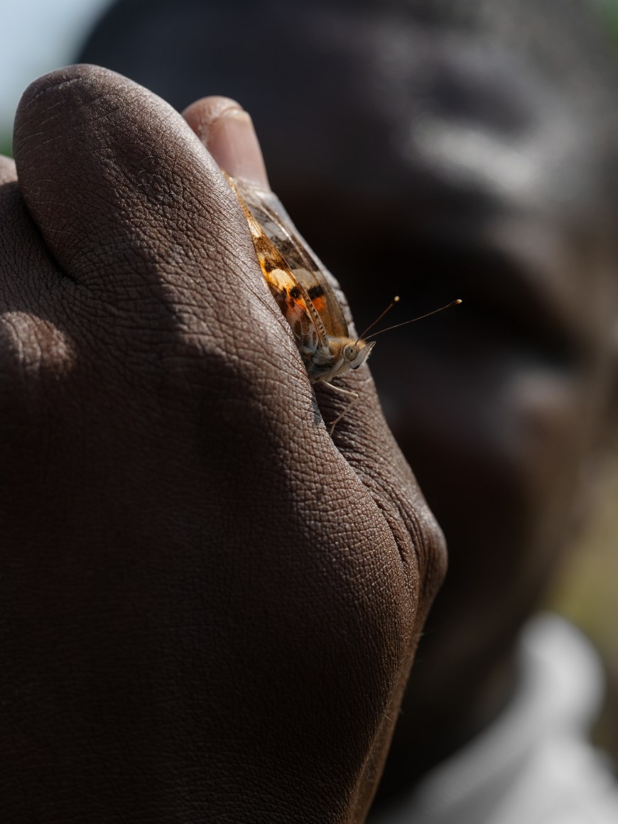 Lucas Foglia, Micka&euml;l Holding a Painted Lady Butterfly, C&ocirc;te d&#039;Ivoire, 2022