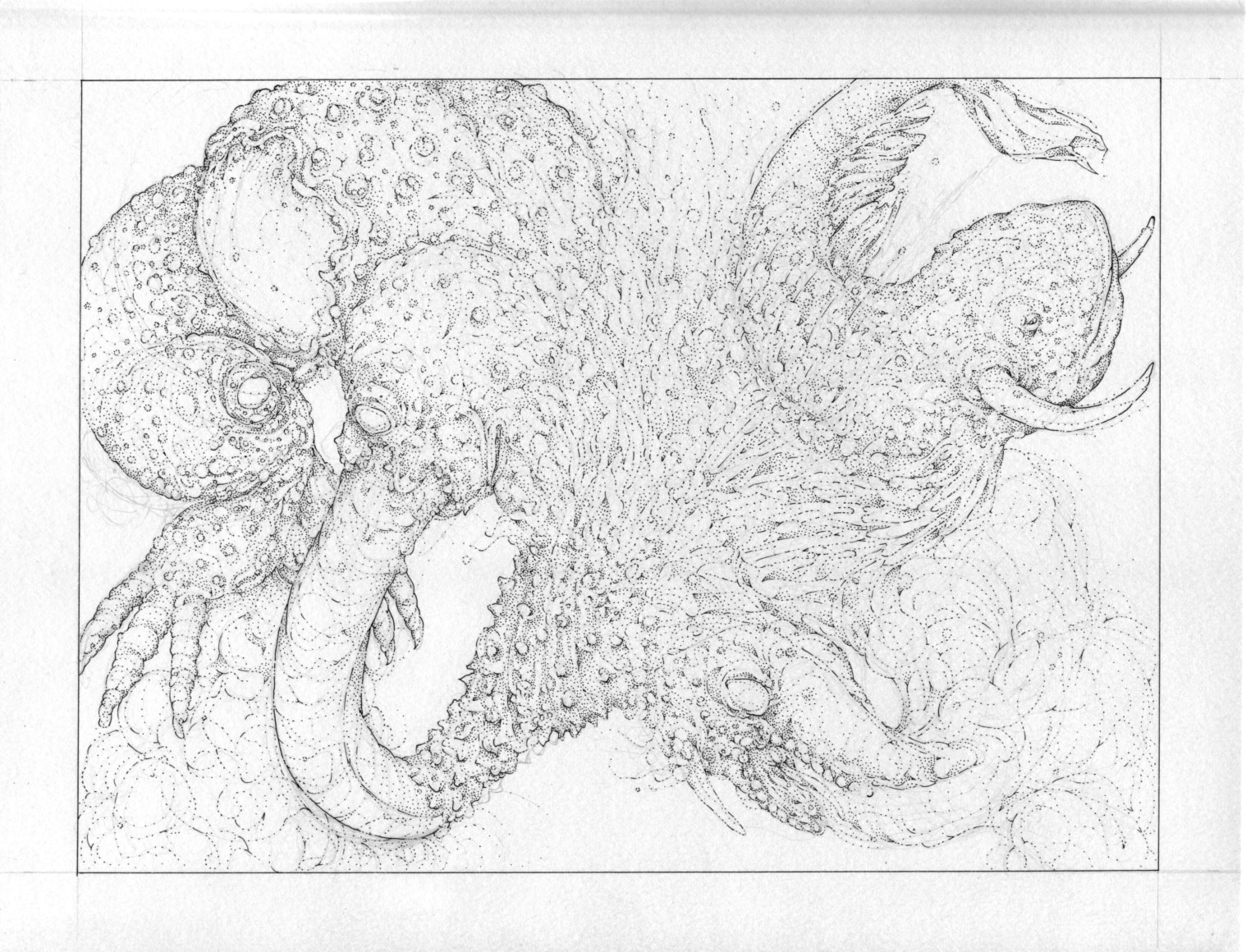 Sean McCarthy, Bullhead