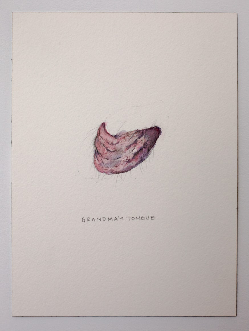 Maximilian Toth at Fredericks &amp; Freiser