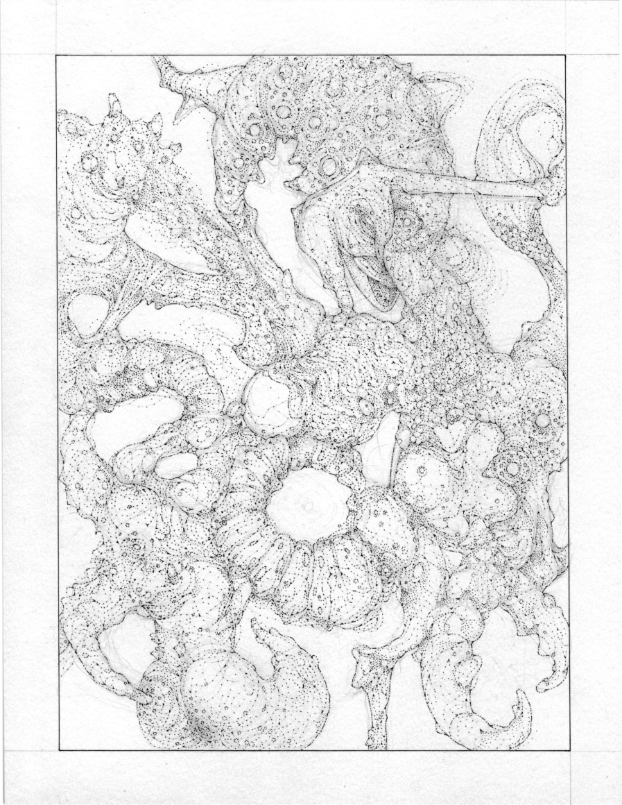 Sean McCarthy, Anastomosis