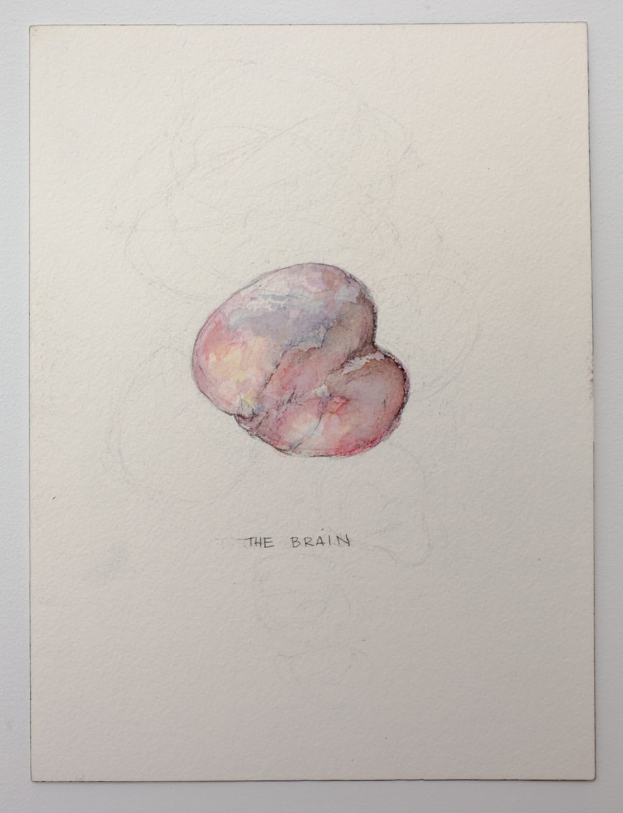 Maximilian Toth at Fredericks &amp; Freiser