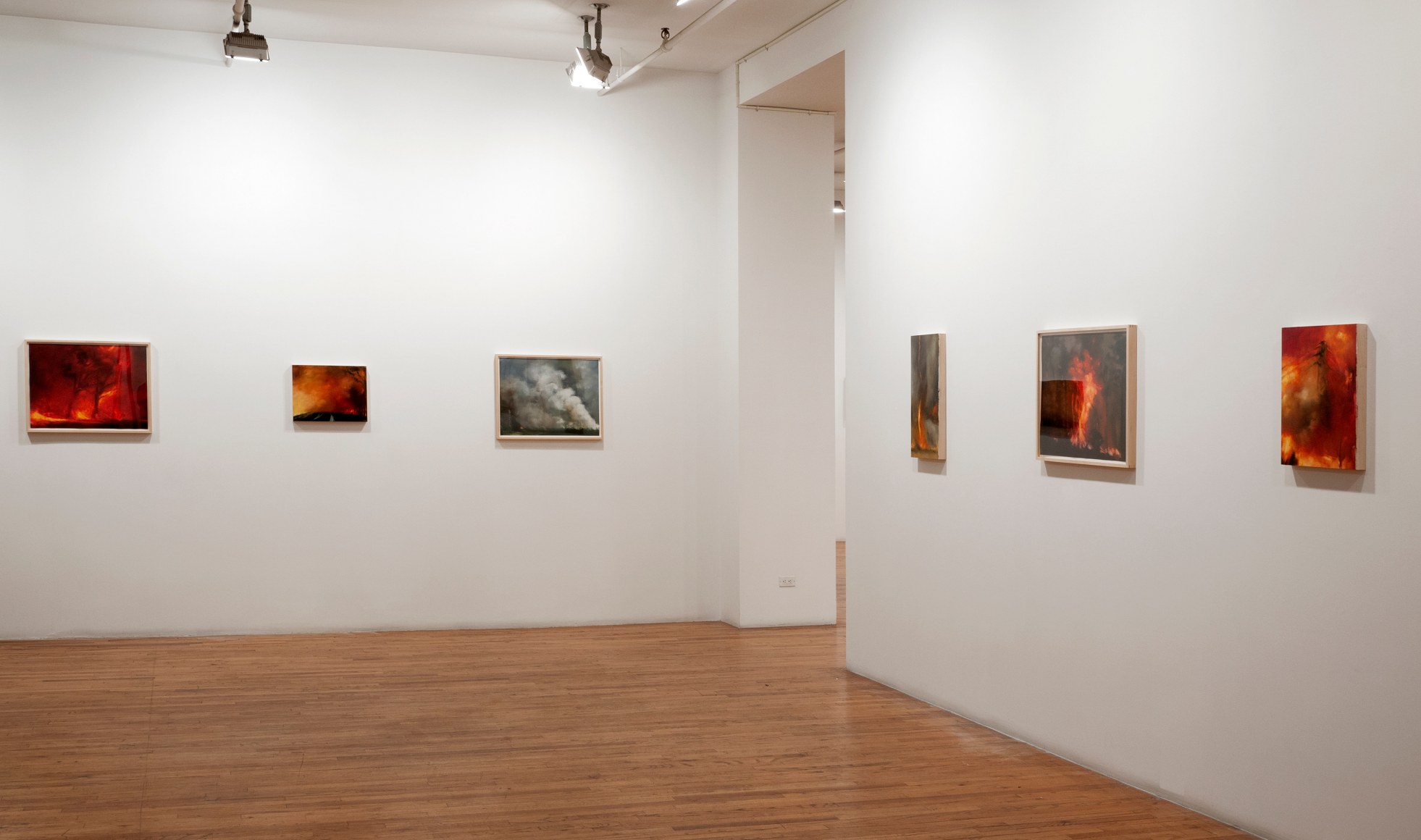 Karen Marston Fire Season installation view
