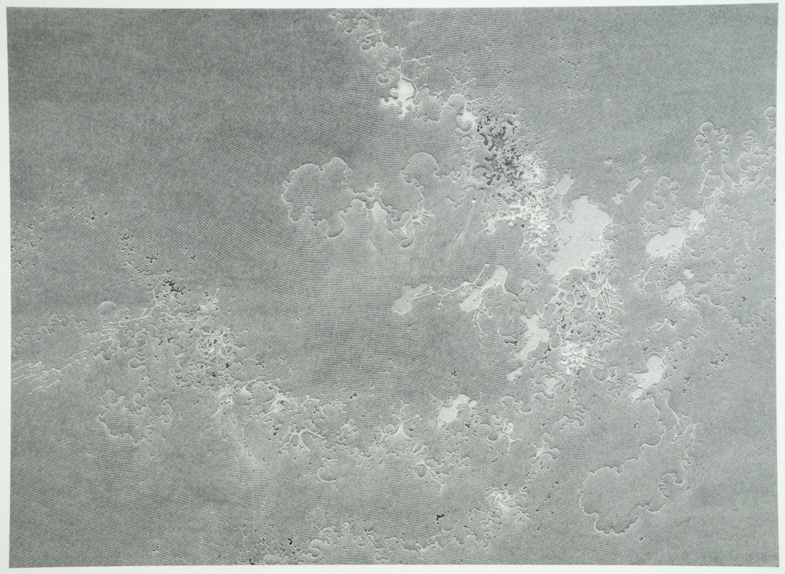 DANIEL ZELLER, Polymorphic Reservoir, 2013