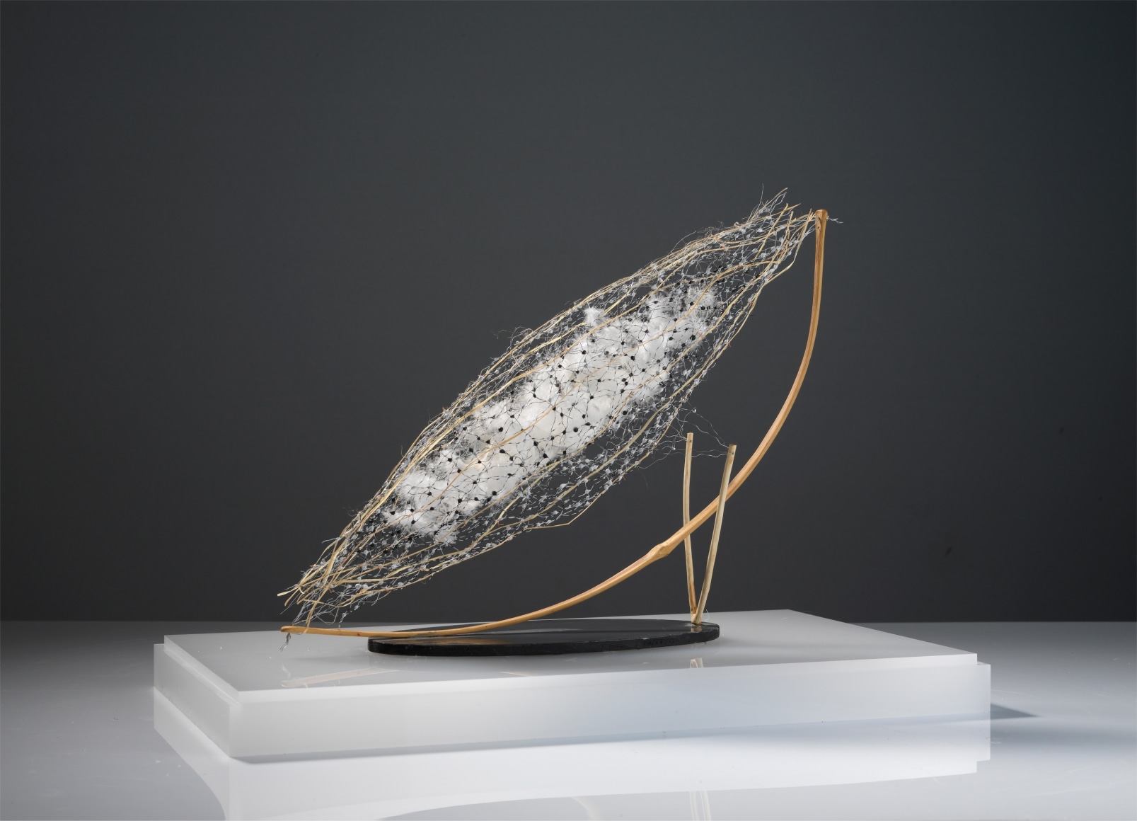 antonio crespo foix michel soskine