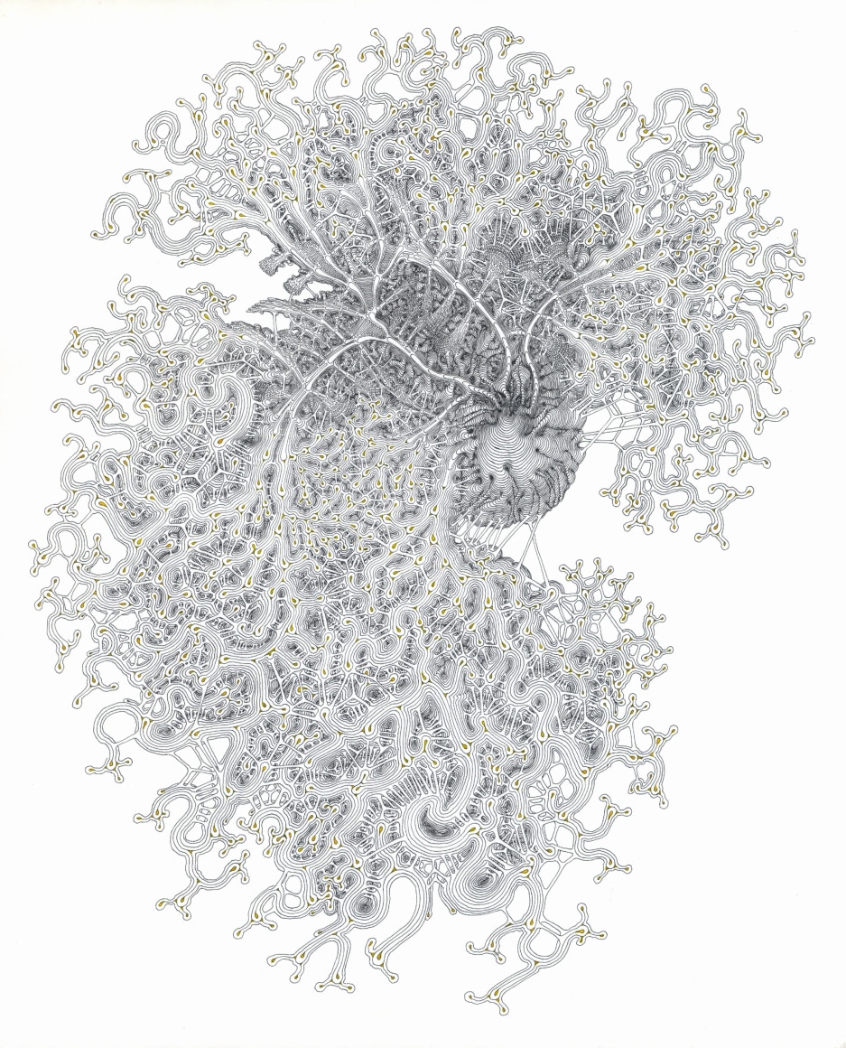 Daniel Zeller Michel Soskine