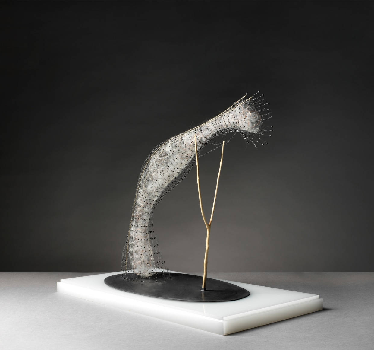 Aerófilo I Antonio Crespo Foix