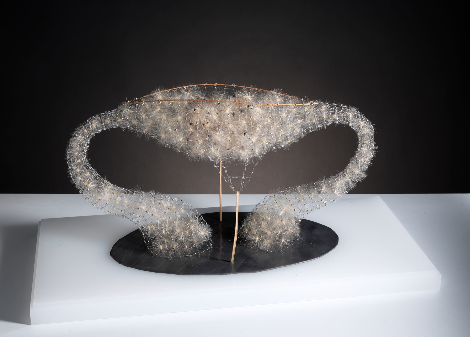 antonio crespo foix michel soskine