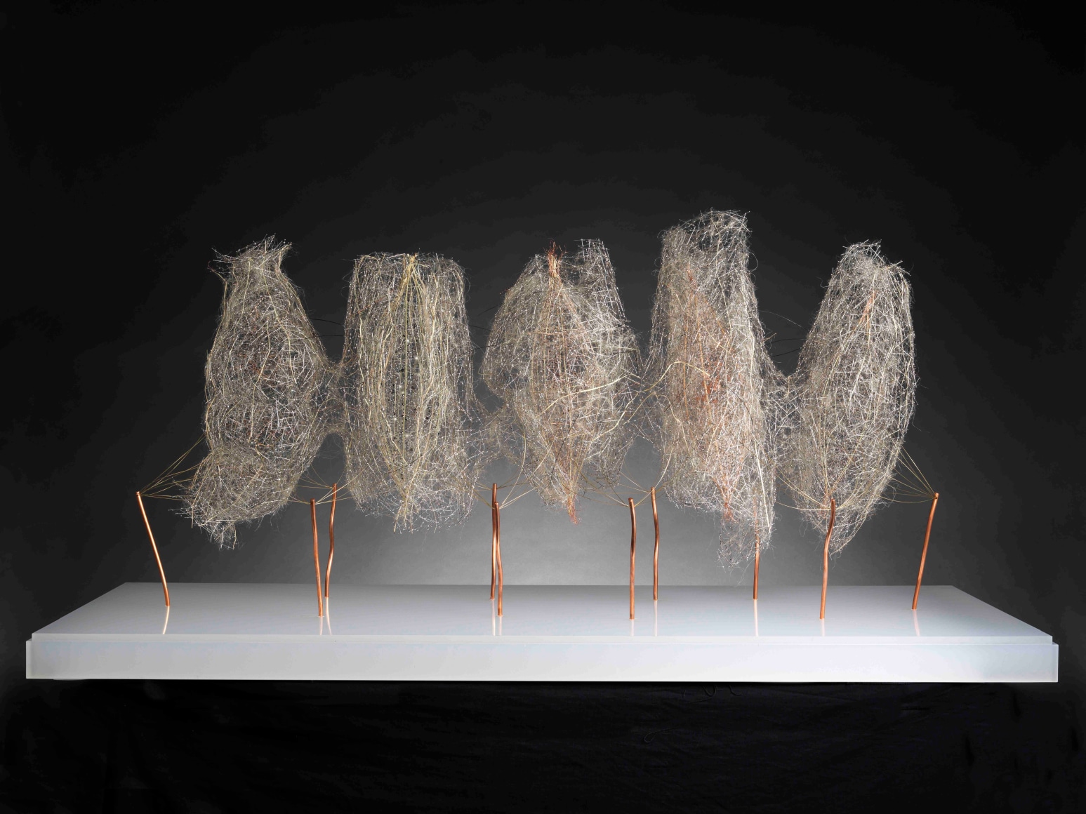 antonio crespo michel soskine