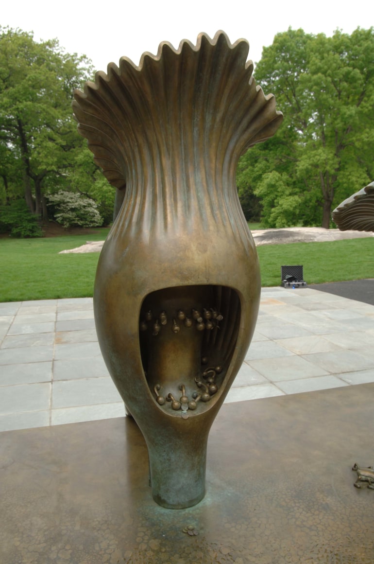 Amorphophallus Titanum, New York Botanical Garden, Bronx, New York