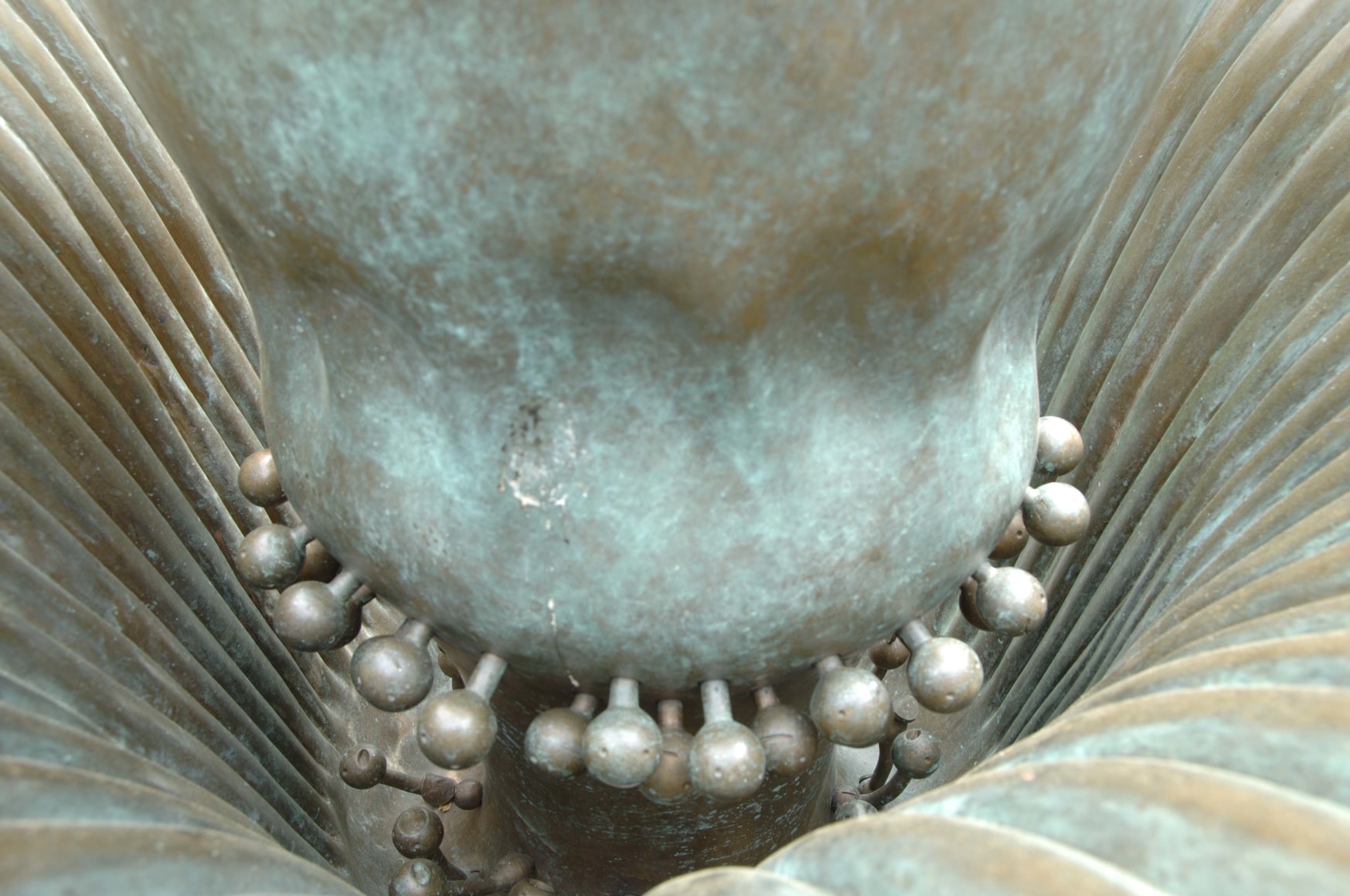 Amorphophallus Titanum, New York Botanical Garden, Bronx, New York