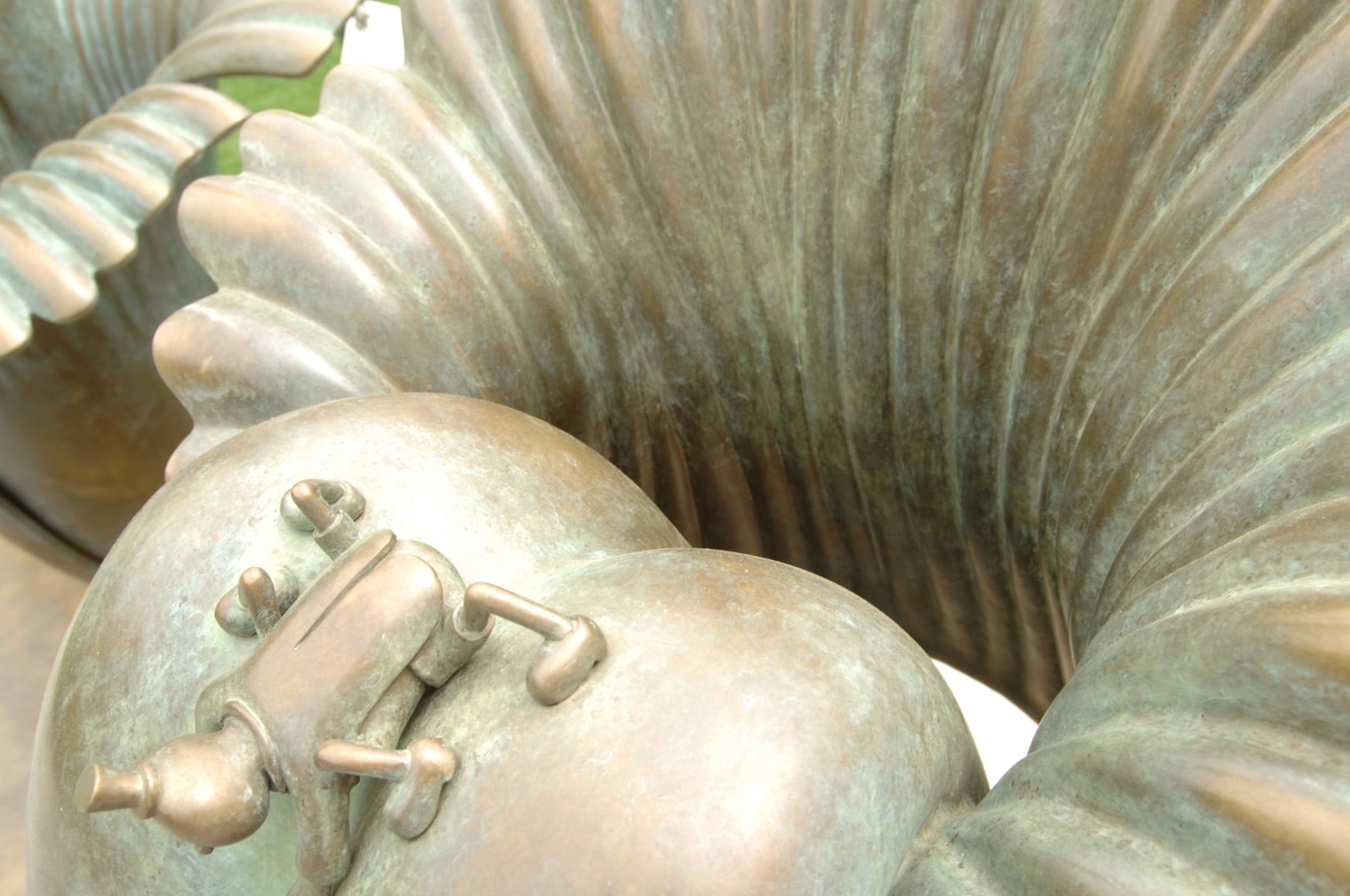 Amorphophallus Titanum, New York Botanical Garden, Bronx, New York