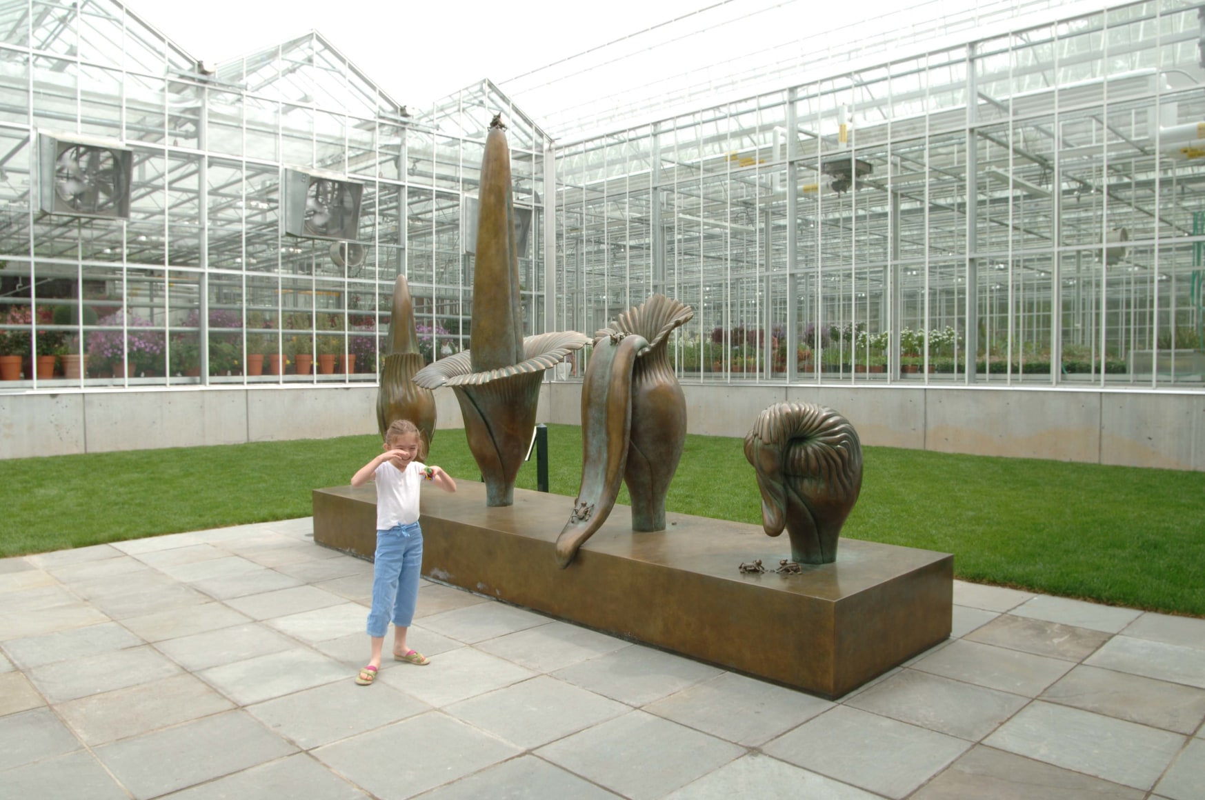 Amorphophallus Titanum, New York Botanical Garden, Bronx, New York