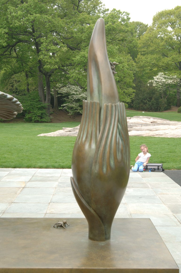 Amorphophallus Titanum, New York Botanical Garden, Bronx, New York