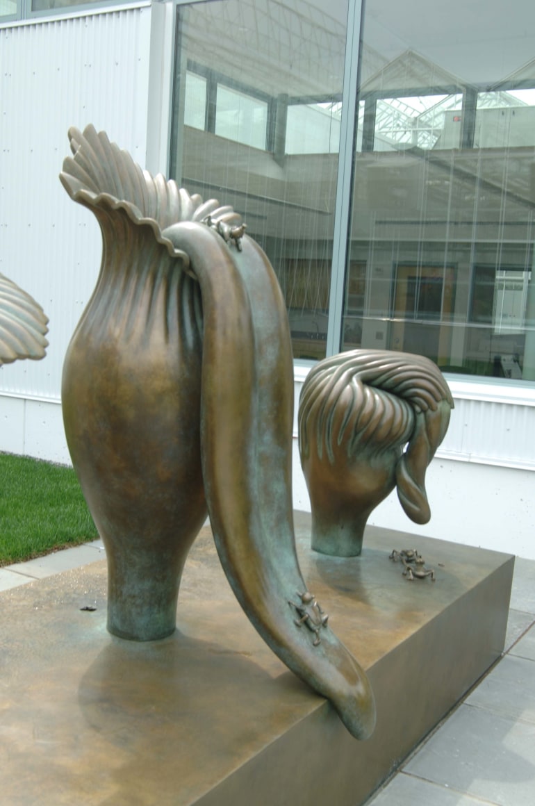 Amorphophallus Titanum, New York Botanical Garden, Bronx, New York