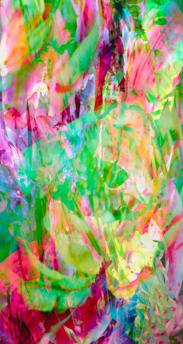 Ecstatic Garden by Fidan Bagirova at Hg Contemporary