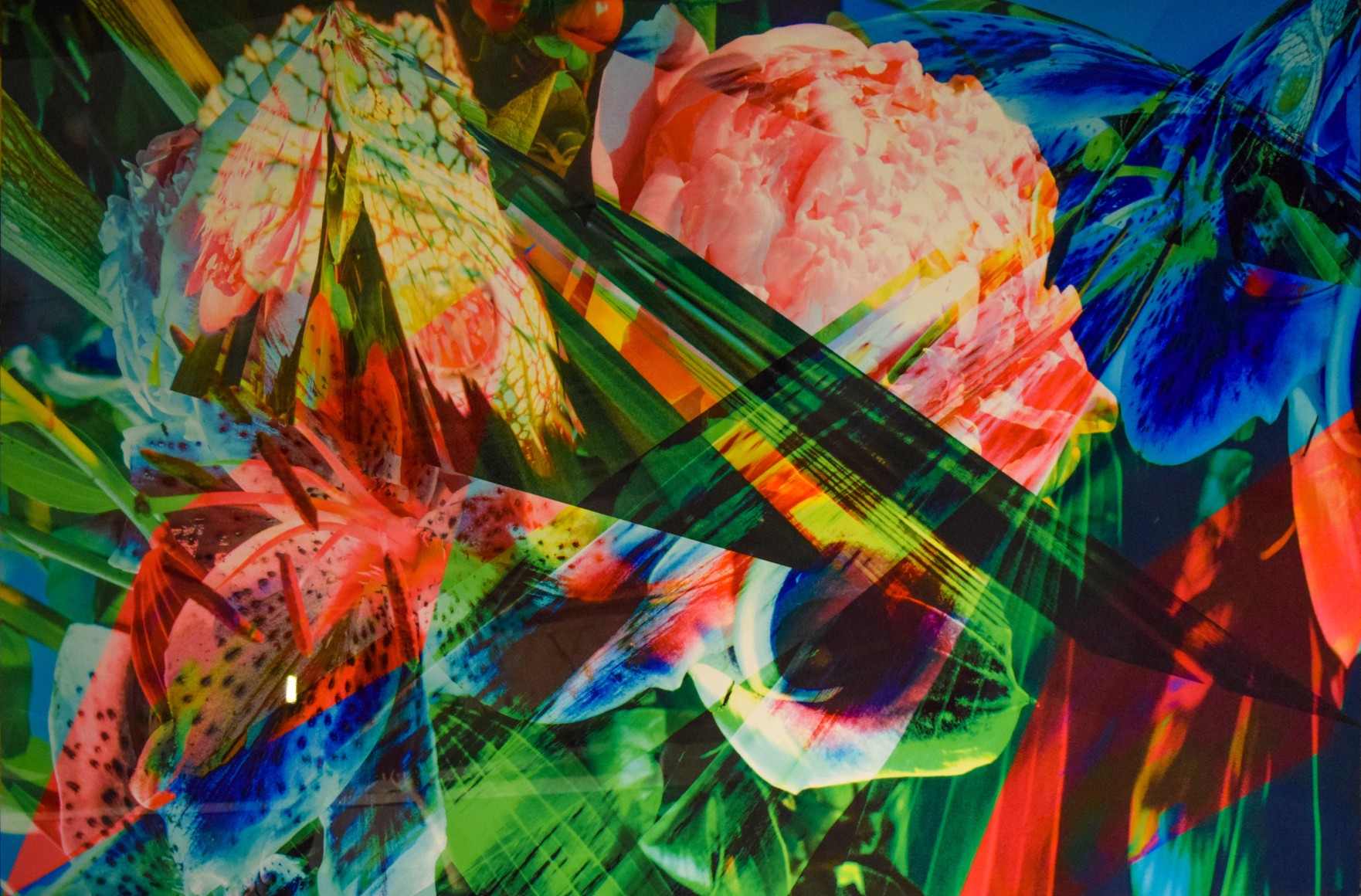 Fairy Peony by Fidan Bagirova at Hg Contemporary