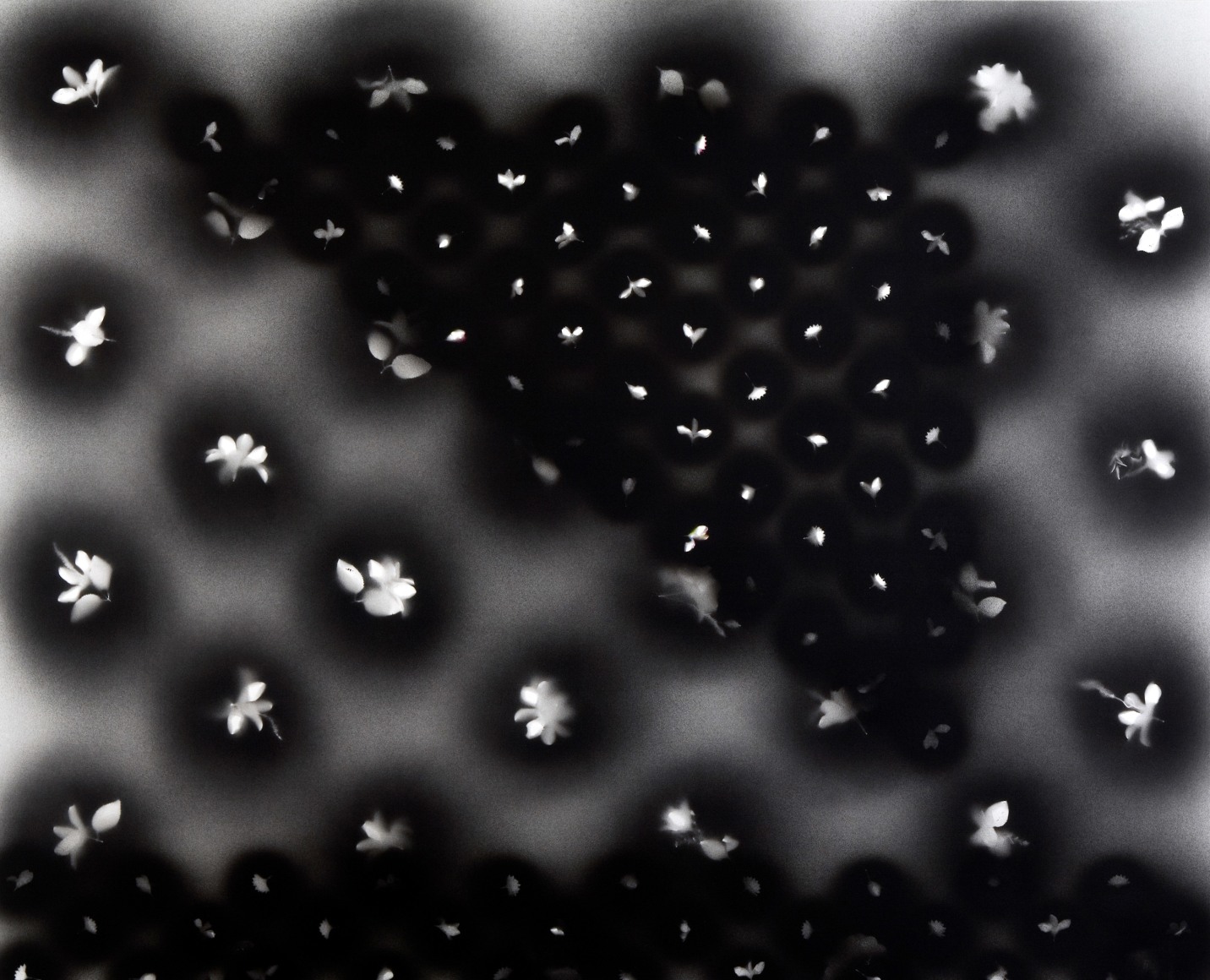 The Sky Above Honolulu from Polynesian Triptych by Simon Zabell at Hg Contemporary in Madrid, an art gallery founded by Philippe Hoerle-Guggenheim