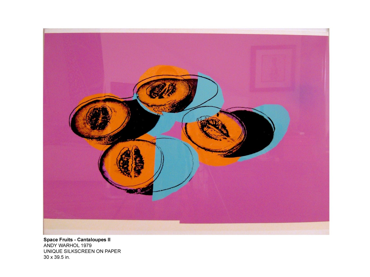 Space Fruits Cantaloupes 1 - Warhol