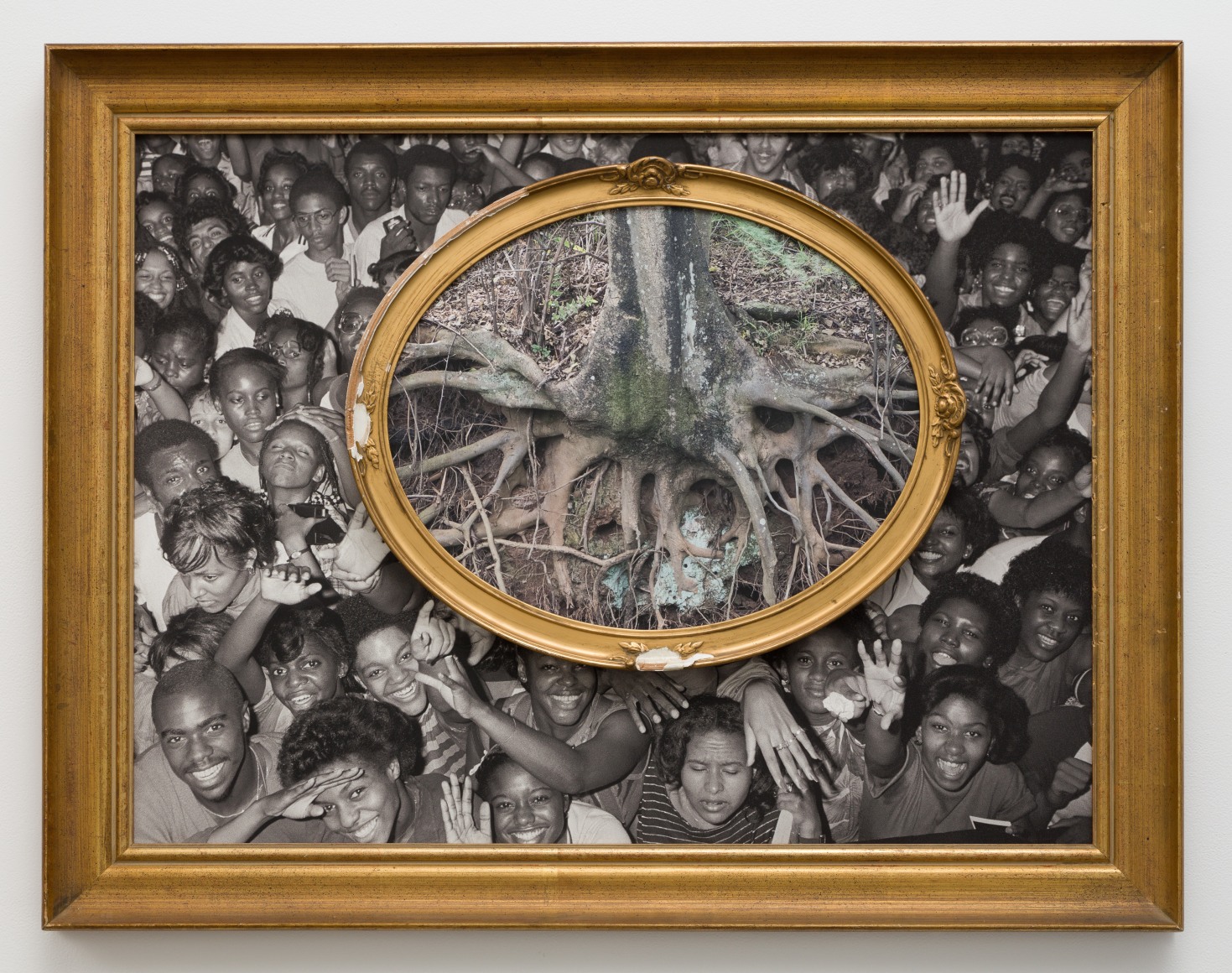 Todd Gray, Flora Africanus (D.C.)