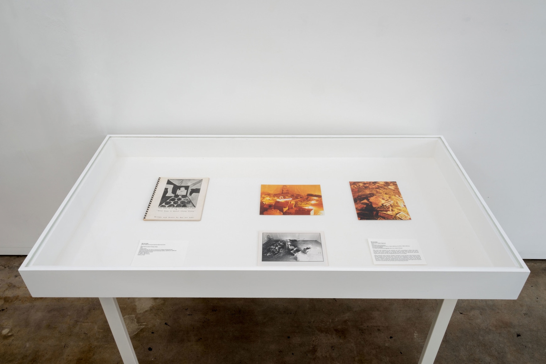 Bas Jan Ader, Drifting Home